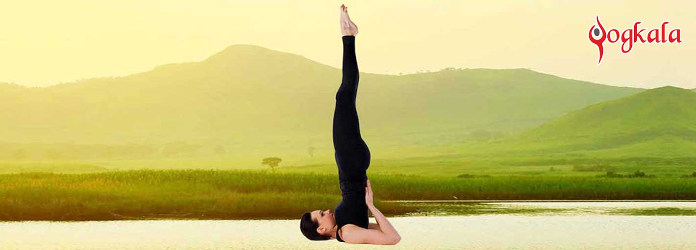 5 Effective Yoga Poses To Improve Your Memory