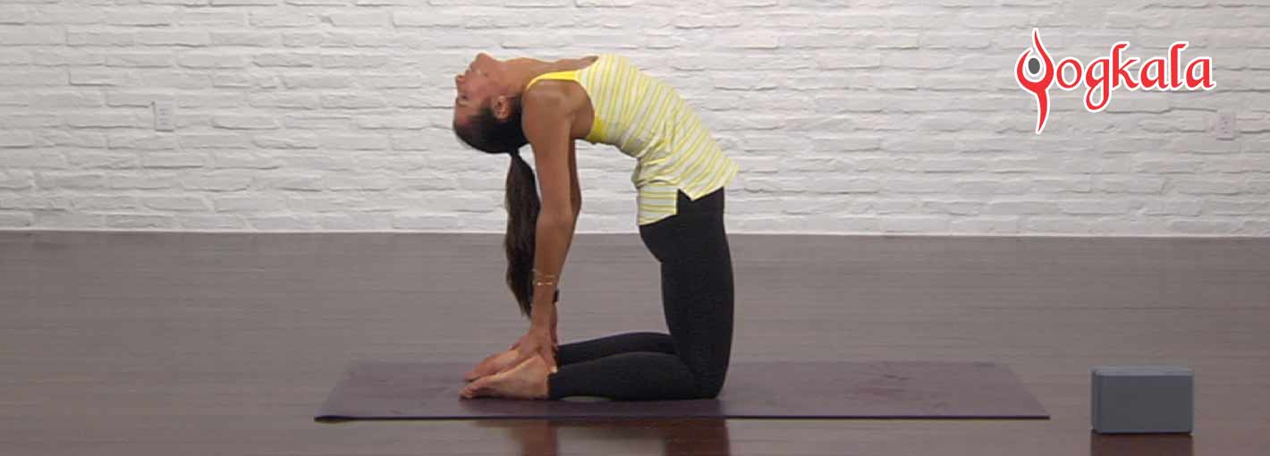 Camel Pose | How to Perform and its Benefits
